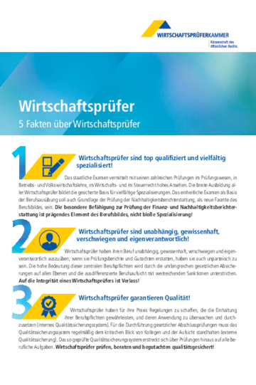 5 Fakten über Wirtschaftsprüfer